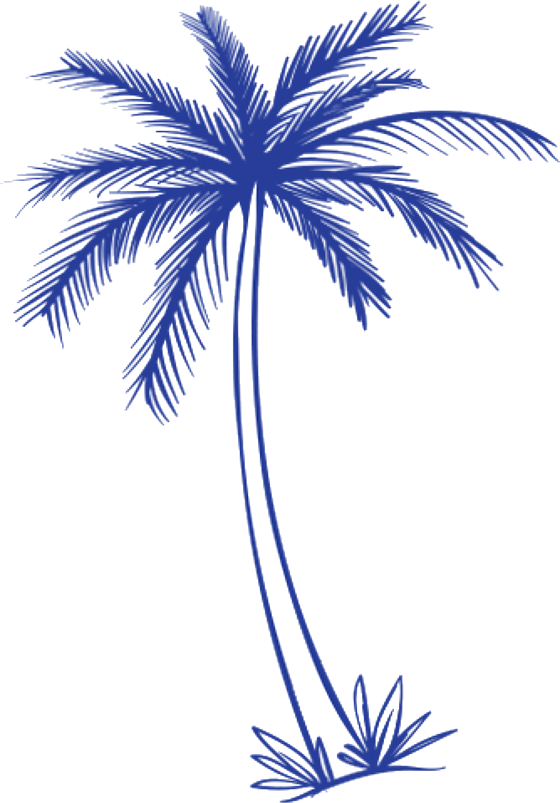 Palm tree